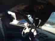 2006 Chevrolet Malibu Maxx LT с VIN 1G1ZT61846F159799, выставлен на аукционе IAAI как лот 41834389 с пробегом Не указан миль и . История ставок и продаж доступна на DreamBid. Изображение 13.