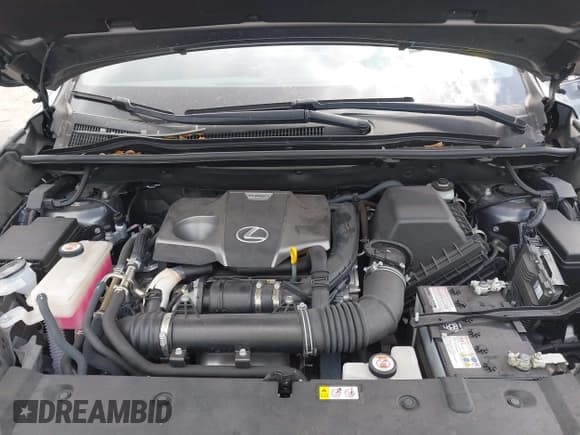 ✅ 2021 Lexus NX 300 F Sport • VIN: JTJSARBZ1M2198603 • Лот: 41909378. Опубликован ранее на IAAI с пробегом 6 097 миль. Бесплатный доступ к архиву аукционных продаж из США и подробный отчёт об истории автомобиля на DreamBid. Изображение 10.