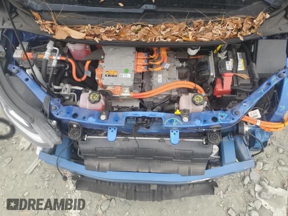 ✅ 2019 Chevrolet Bolt EV LT • VIN: 1G1FY6S06K4137421 • Lot: 79759744. Wystawiony na Copart z przebiegiem 39 977 mil. Bezpłatny archiwum sprzedaży aukcyjnych z USA i szczegółowy raport historii pojazdu na DreamBid. Zdjęcie 11.