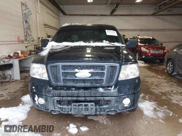 ✅ 2010 Ford F-150 XL • VIN: 1FTEX1E89AKE05852 • Lot: 43873165. Wystawiony na IAAI z przebiegiem 190 754 mil. Bezpłatny archiwum sprzedaży aukcyjnych z USA i szczegółowy raport historii pojazdu na DreamBid. Zdjęcie 12.