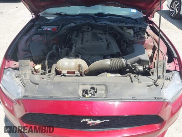 ✅ 2017 Ford Mustang EcoBoost Premium • VIN: 1FATP8UH2H5278832 • Лот: 42779427. Опубликован ранее на IAAI с пробегом 62 436 миль. Бесплатный доступ к архиву аукционных продаж из США и подробный отчёт об истории автомобиля на DreamBid. Изображение 10.