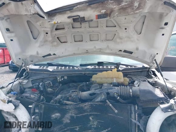 ✅ 2019 Ford F-150 XL • VIN: 1FTEX1EB7KKD84528 • Lot: 42596730. Listed on IAAI with 6 mi. Free auction sales archive from the USA and detailed vehicle history report at DreamBid. Image 10.