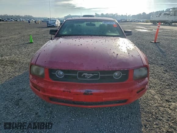 ✅ 2006 Ford Mustang Standard • VIN: 1ZVFT80N665131860 • Lot: 96371475. Listed on Copart with 149,368 mi. Free auction sales archive from the USA and detailed vehicle history report at DreamBid. Image 5.