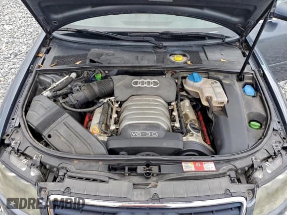 ✅ 2004 Audi A4 3.0L • VIN: WAUDT48H04K012747 • Lot: 96081575. Listed on Copart with 111,318 mi. Free auction sales archive from the USA and detailed vehicle history report at DreamBid. Image 11.