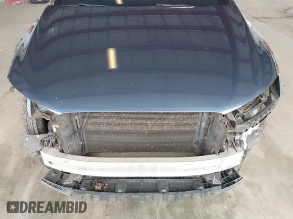 ✅ 2016 Audi Q3 Prestige • VIN: WA1GFCFS8GR020973 • Lot: 41923494. Listed on IAAI with 184,467 mi. Free auction sales archive from the USA and detailed vehicle history report at DreamBid. Image 6.