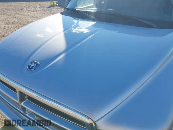 ✅ 2004 Dodge Dakota SLT • VIN: 1D7HL48NX4S690941 • Lot: 43535915. Listed on IAAI with 133,394 mi. Free auction sales archive from the USA and detailed vehicle history report at DreamBid. Image 6.