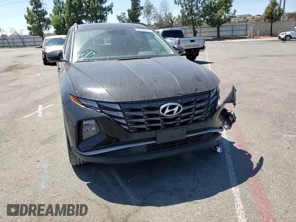 2022 Hyundai Tucson SEL с VIN KM8JBDA29NU037355, выставлен на аукционе Copart как лот 69338414 с пробегом 47 102 миль миль и Списание • Salvage title. История ставок и продаж доступна на DreamBid. Изображение 12.