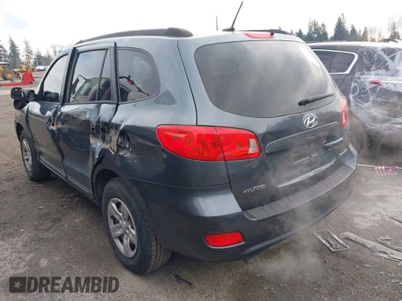✅ 2009 Hyundai Santa Fe GLS • VIN: 5NMSG13D89H230469 • Lot: 41077499. Listed on IAAI with 213,984 mi. Free auction sales archive from the USA and detailed vehicle history report at DreamBid. Image 3.