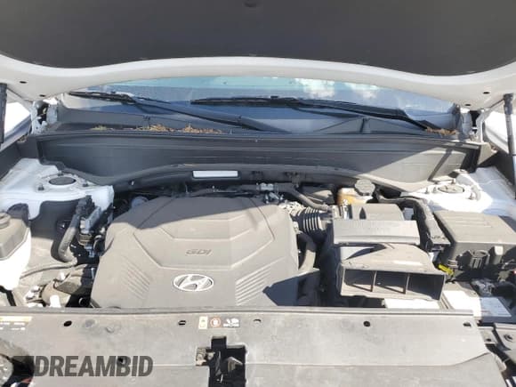 ✅ 2020 Hyundai Palisade SEL • VIN: KM8R44HE1LU119459 • Лот: 80470754. Опубликован ранее на Copart с пробегом 63 050 миль. Бесплатный доступ к архиву аукционных продаж из США и подробный отчёт об истории автомобиля на DreamBid. Изображение 12.