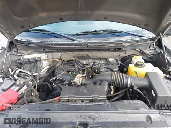 ✅ 2014 Ford F-150 XL • VIN: 1FTMF1CM9EKG29904 • Lot: 43773045. Wystawiony na IAAI z przebiegiem 112 123 mil. Bezpłatny archiwum sprzedaży aukcyjnych z USA i szczegółowy raport historii pojazdu na DreamBid. Zdjęcie 10.