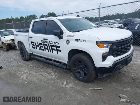 ✅ 2024 Chevrolet Silverado 1500 • VIN: 3GCUD4ED1RG274440 • Лот: 41646550. Опубликован ранее на IAAI с пробегом 6 219 миль. Бесплатный доступ к архиву аукционных продаж из США и подробный отчёт об истории автомобиля на DreamBid. Изображение 1.