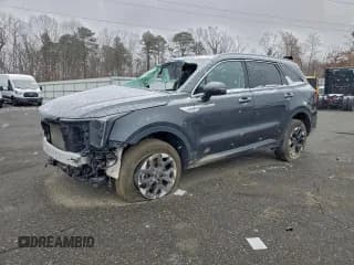 ✅ 2024 Kia Sorento S • VIN: 5XYRLDJCXRG268334 • Lot: 95550785. Listed on Copart with Not provided. Free auction sales archive from the USA and detailed vehicle history report at DreamBid. Image 1.