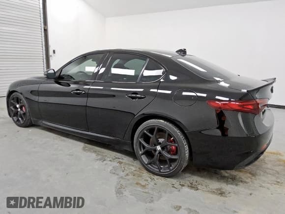 ✅ 2019 Alfa Romeo Giulia Ti Sport • VIN: ZARFAMBN3K7622843 • Lot: 57133925. Listed on Copart with 50,540 mi. Free auction sales archive from the USA and detailed vehicle history report at DreamBid. Image 2.
