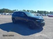 ✅ 2019 Jeep Grand Cherokee Altitude • VIN: 1C4RJEAG3KC851174 • Lot: 43162927. Wystawiony na IAAI z przebiegiem 120 741 mil. Bezpłatny archiwum sprzedaży aukcyjnych z USA i szczegółowy raport historii pojazdu na DreamBid. Zdjęcie 1.