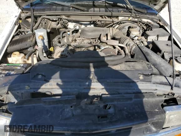 1999 Chevrolet Blazer LS z VIN 1GNDT13W9XK169082, wystawiony jako Copart lot #82568524 z przebiegiem 115 807 mil mil oraz Szkoda całkowita • Salvage title. Historia ofert i sprzedaży dostępna na DreamBid. Obrazek 13.