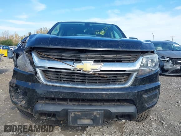 ✅ 2018 Chevrolet Colorado 4WD Work Truck • VIN: 1GCGTBENXJ1158461 • Лот: 43452570. Опубликован ранее на IAAI с пробегом 121 759 миль. Бесплатный доступ к архиву аукционных продаж из США и подробный отчёт об истории автомобиля на DreamBid. Изображение 12.