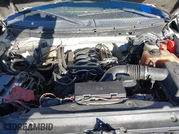 ✅ 2011 Ford F-150 XLT • VIN: 1FTFW1EF0BFB11059 • Lot: 43905361. Listed on IAAI with 290,277 mi. Free auction sales archive from the USA and detailed vehicle history report at DreamBid. Image 10.