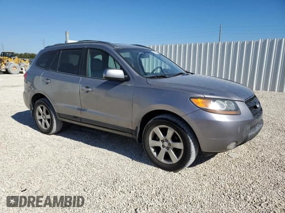 ✅ 2007 Hyundai Santa Fe SE • VIN: 5NMSH13E97H087325 • Lot: 82957004. Listed on Copart with 252,940 mi. Free auction sales archive from the USA and detailed vehicle history report at DreamBid. Image 4.