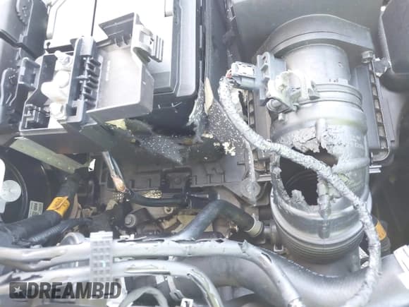 ✅ 2022 Hyundai Venue Limited • VIN: KMHRC8A30NU150935 • Lot: 41803560. Listed on IAAI with 31,756 mi. Free auction sales archive from the USA and detailed vehicle history report at DreamBid. Image 17.