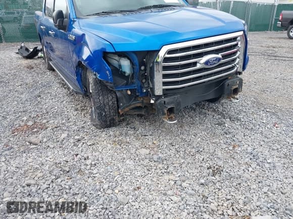 ✅ 2016 Ford F-150 XLT • VIN: 1FTEW1E83GFC81887 • Lot: 42051744. Wystawiony na IAAI z przebiegiem 129 635 mil. Bezpłatny archiwum sprzedaży aukcyjnych z USA i szczegółowy raport historii pojazdu na DreamBid. Zdjęcie 6.