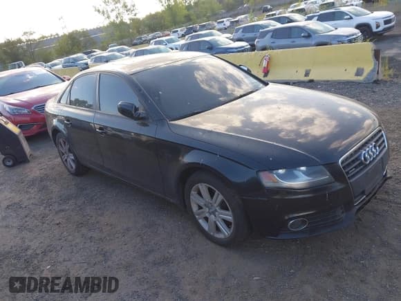 ✅ 2011 Audi A4 Premium • VIN: WAUBFAFL2BN008716 • Lot: 43127038. Listed on IAAI with 135,236 mi. Free auction sales archive from the USA and detailed vehicle history report at DreamBid. Image 1.
