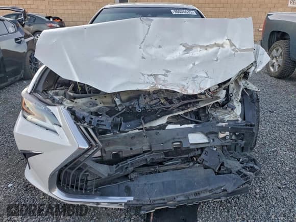 ✅ 2019 Lexus ES 350 Luxury • VIN: 58ABZ1B12KU020096 • Лот: 95535635. Опубликован ранее на Copart с пробегом 60 348 миль. Бесплатный доступ к архиву аукционных продаж из США и подробный отчёт об истории автомобиля на DreamBid. Изображение 5.