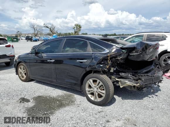 2019 Hyundai Sonata SEL with VIN 5NPE34AF6KH765405, listed as a Copart auction lot 66511985 with 43,213 mi miles and Non repairable. Bid and sale history available at DreamBid. Image 2.