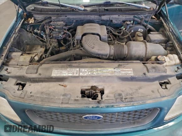 ✅ 1998 Ford F-150 • VIN: 1FTZX18W8WKA63717 • Lot: 96224275. Listed on Copart with 218,334 mi. Free auction sales archive from the USA and detailed vehicle history report at DreamBid. Image 11.