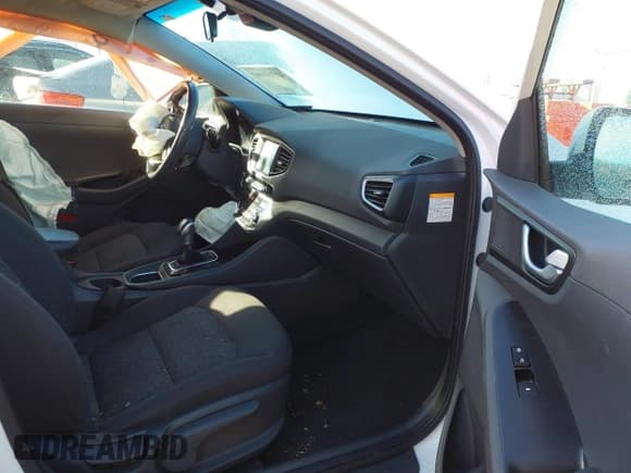 ✅ 2019 Hyundai Ioniq SEL • VIN: KMHC75LC9KU110967 • Lot: 41360402. Wystawiony na IAAI z przebiegiem 118 972 mil. Bezpłatny archiwum sprzedaży aukcyjnych z USA i szczegółowy raport historii pojazdu na DreamBid. Zdjęcie 5.