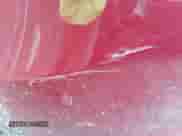 ✅ 2014 Hyundai Azera Limited • VIN: KMHFH4JG8EA398092 • Lot: 42046561. Wystawiony na IAAI z przebiegiem 171 270 mil mil. Skorzystaj z bezpłatnego archiwum sprzedaży aukcyjnych z USA i zobacz szczegółowy raport historii pojazdu na DreamBid. Zdjęcie 13.