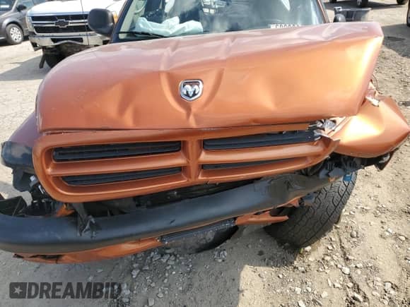 2001 Dodge Dakota Sport z VIN 1B7GG26N31S197440, wystawiony jako Copart lot #68280665 z przebiegiem Nie podano mil oraz Szkoda całkowita • Salvage title. Historia ofert i sprzedaży dostępna na DreamBid. Obrazek 11.
