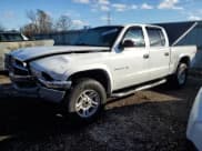 ✅ 2002 Dodge Dakota SLT • VIN: 1B7HG48Z02S670101 • Lot: 81363774. Wystawiony na Copart z przebiegiem 225 285 mil. Bezpłatny archiwum sprzedaży aukcyjnych z USA i szczegółowy raport historii pojazdu na DreamBid. Zdjęcie 1.
