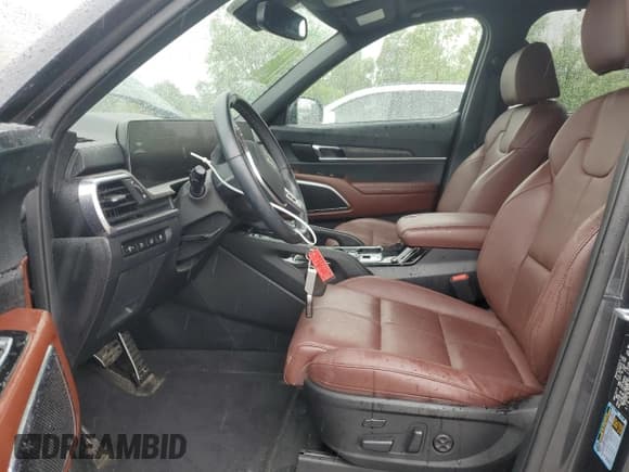 ✅ 2023 Kia Telluride SX • VIN: 5XYP5DGC5PG381663 • Lot: 60544285. Listed on Copart with 29,845 mi. Free auction sales archive from the USA and detailed vehicle history report at DreamBid. Image 7.