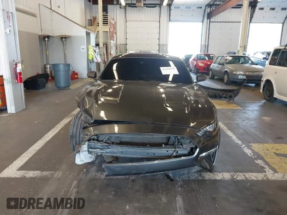 ✅ 2020 Ford Mustang GT • VIN: 1FA6P8CF9L5121966 • Lot: 43259978. Listed on IAAI with Not provided. Free auction sales archive from the USA and detailed vehicle history report at DreamBid. Image 12.