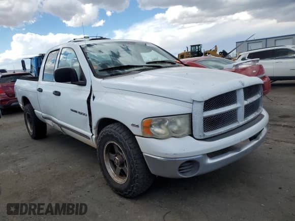 ✅ 2004 Dodge 1500 SLT • VIN: 1D7HA18N14J215608 • Лот: 71973114. Опубликован ранее на Copart с пробегом Не указан. Бесплатный доступ к архиву аукционных продаж из США и подробный отчёт об истории автомобиля на DreamBid. Изображение 4.