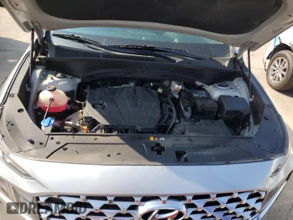 ✅ 2021 Hyundai Santa Fe SEL • VIN: 5NMS64AJ5MH325044 • Lot: 66273213. Wystawiony na Copart z przebiegiem 42 850 mil. Bezpłatny archiwum sprzedaży aukcyjnych z USA i szczegółowy raport historii pojazdu na DreamBid. Zdjęcie 12.