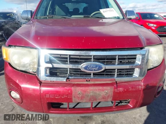 ✅ 2009 Ford Escape XLT • VIN: 1FMCU03789KA07673 • Lot: 43577512. Listed on IAAI with 197,812 mi. Free auction sales archive from the USA and detailed vehicle history report at DreamBid. Image 6.