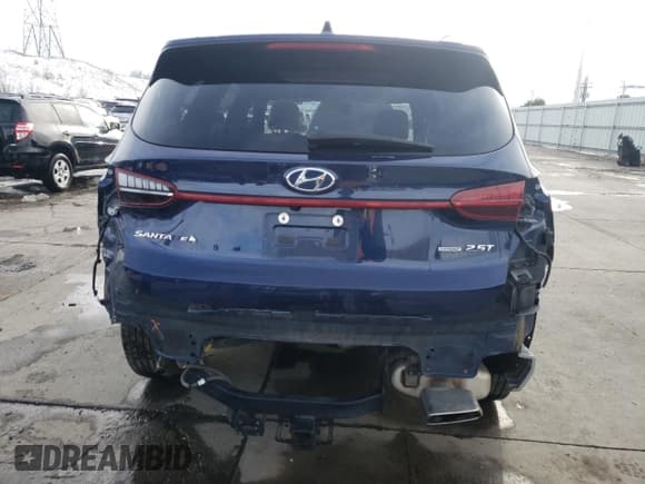 ✅ 2021 Hyundai Santa Fe Calligraphy • VIN: 5NMS5DAL9MH316061 • Lot: 41518624. Wystawiony na Copart z przebiegiem 50 857 mil. Bezpłatny archiwum sprzedaży aukcyjnych z USA i szczegółowy raport historii pojazdu na DreamBid. Zdjęcie 6.