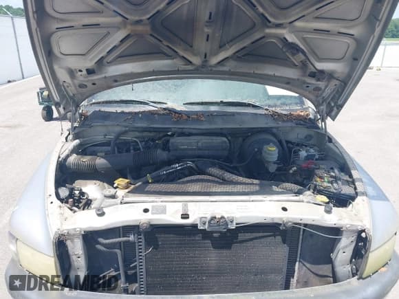 ✅ 2001 Dodge 1500 • VIN: 3B7HC13Y21G718471 • Lot: 42558873. Listed on IAAI with 265,209 mi. Free auction sales archive from the USA and detailed vehicle history report at DreamBid. Image 10.