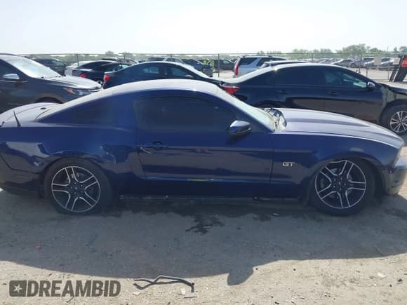 ✅ 2010 Ford Mustang GT • VIN: 1ZVBP8CH4A5135262 • Лот: 42248710. Опубликован ранее на IAAI с пробегом 170 583 миль. Бесплатный доступ к архиву аукционных продаж из США и подробный отчёт об истории автомобиля на DreamBid. Изображение 13.