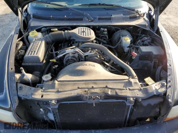 ✅ 1999 Dodge Dakota SLT • VIN: 1B7GL22X1XS199585 • Lot: 85250344. Wystawiony na Copart z przebiegiem 177 182 mil. Bezpłatny archiwum sprzedaży aukcyjnych z USA i szczegółowy raport historii pojazdu na DreamBid. Zdjęcie 12.