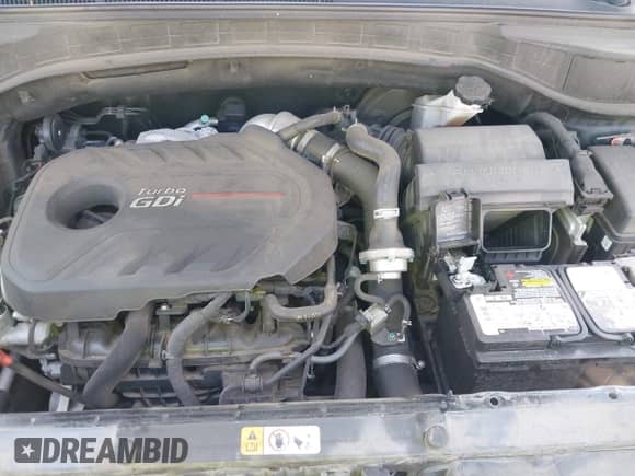 2017 Hyundai Santa Fe 2.0T с VIN 5XYZU4LA8HG480141, выставлен на аукционе IAAI как лот 42712188 с пробегом 86 673 миль миль и . История ставок и продаж доступна на DreamBid. Изображение 10.