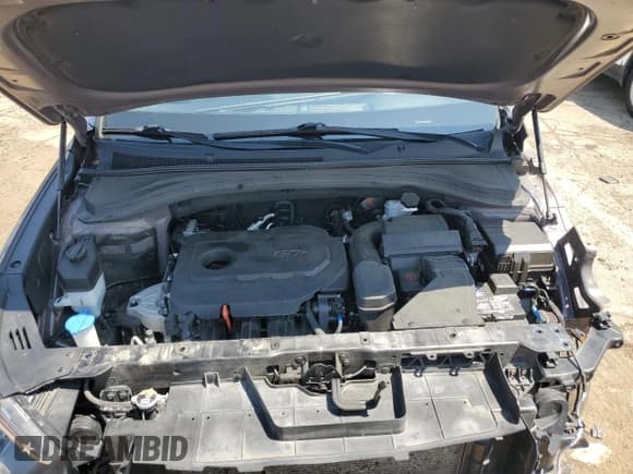 ✅ 2020 Hyundai Santa Fe SEL • VIN: 5NMS3CAD8LH195594 • Lot: 62910654. Wystawiony na Copart z przebiegiem 50 419 mil. Bezpłatny archiwum sprzedaży aukcyjnych z USA i szczegółowy raport historii pojazdu na DreamBid. Zdjęcie 12.