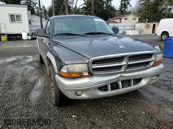 2003 Dodge Dakota SLT with VIN 1D7HL42X33S328572, listed as a Copart auction lot 43112125 with Not provided miles and Salvage title. Bid and sale history available at DreamBid. Image 10.