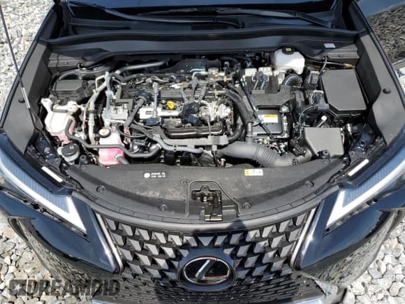 ✅ 2023 Lexus UX 250h Premium • VIN: JTHP6JBH9P2142897 • Lot: 61782595. Wystawiony na Copart z przebiegiem 35 489 mil. Bezpłatny archiwum sprzedaży aukcyjnych z USA i szczegółowy raport historii pojazdu na DreamBid. Zdjęcie 12.