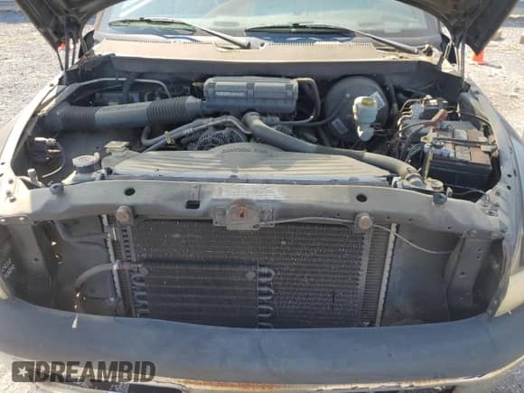 1998 Dodge 1500 z VIN 1B7HF16Y2WS577923, wystawiony jako Copart lot #67905705 z przebiegiem 145 459 mil mil oraz Czysty tytuł • Clean title. Historia ofert i sprzedaży dostępna na DreamBid. Obrazek 11.