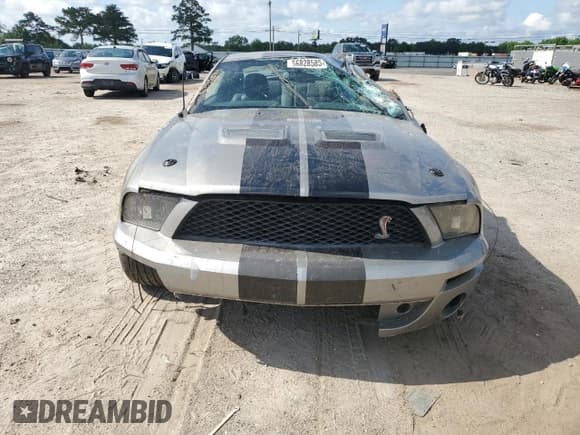 ✅ 2008 Ford Mustang Shelby GT500 • VIN: 1ZVHT88S485164278 • Lot: 56828585. Listed on Copart with 131,119 mi. Free auction sales archive from the USA and detailed vehicle history report at DreamBid. Image 5.
