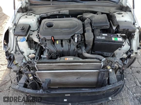 ✅ 2016 Kia Optima LX • VIN: KNAGT4L36G5088520 • Лот: 90536475. Опубликован ранее на Copart с пробегом 67 210 миль. Бесплатный доступ к архиву аукционных продаж из США и подробный отчёт об истории автомобиля на DreamBid. Изображение 11.