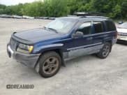 ✅ 2004 Jeep Grand Cherokee Laredo • VIN: 1J4GW48S64C160831 • Lot: 61920005. Wystawiony na Copart z przebiegiem 135 243 mil. Bezpłatny archiwum sprzedaży aukcyjnych z USA i szczegółowy raport historii pojazdu na DreamBid. Zdjęcie 1.