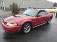 ✅ 2001 Ford Mustang GT Deluxe • VIN: 1FAFP45X71F258331 • Lot: 49202495. Listed on Copart with 136,968 mi. Free auction sales archive from the USA and detailed vehicle history report at DreamBid. Image 1.